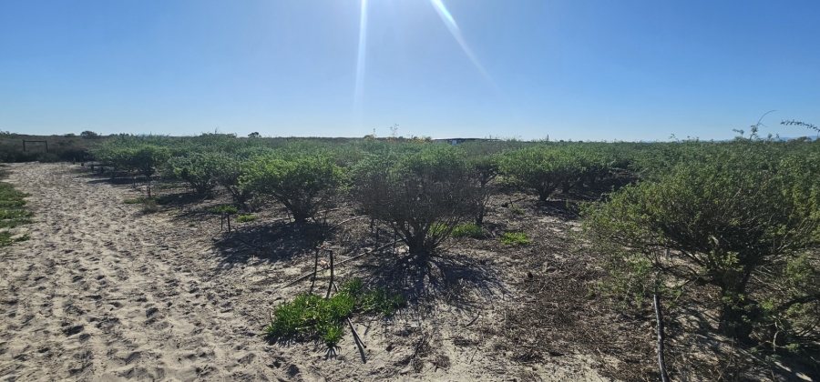 3 Bedroom Property for Sale in Hartebeesfontein Western Cape